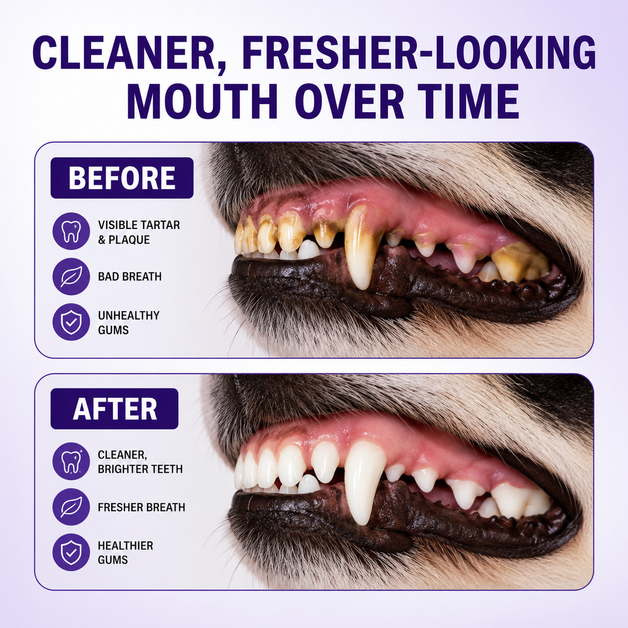 Pet Oral Spray – Fresh Breath & Daily Plaque Care for Dogs & Cats