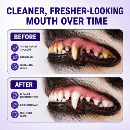 Pet Oral Spray – Fresh Breath & Daily Plaque Care for Dogs & Cats